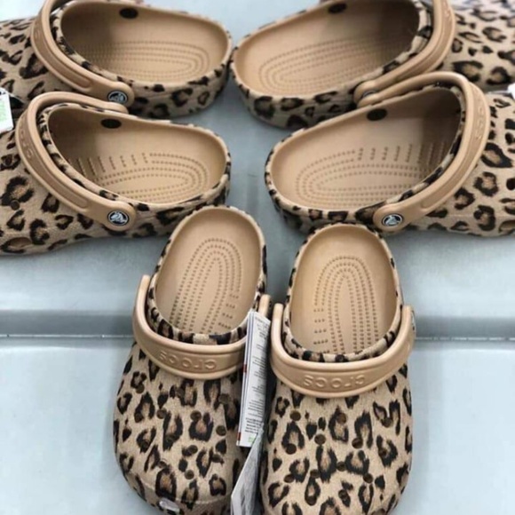 Meet your Posher, Olivia - Picture 3 of 7